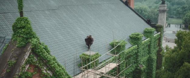 偶像剧和谍战剧热度,开年第一电视剧谍战剧