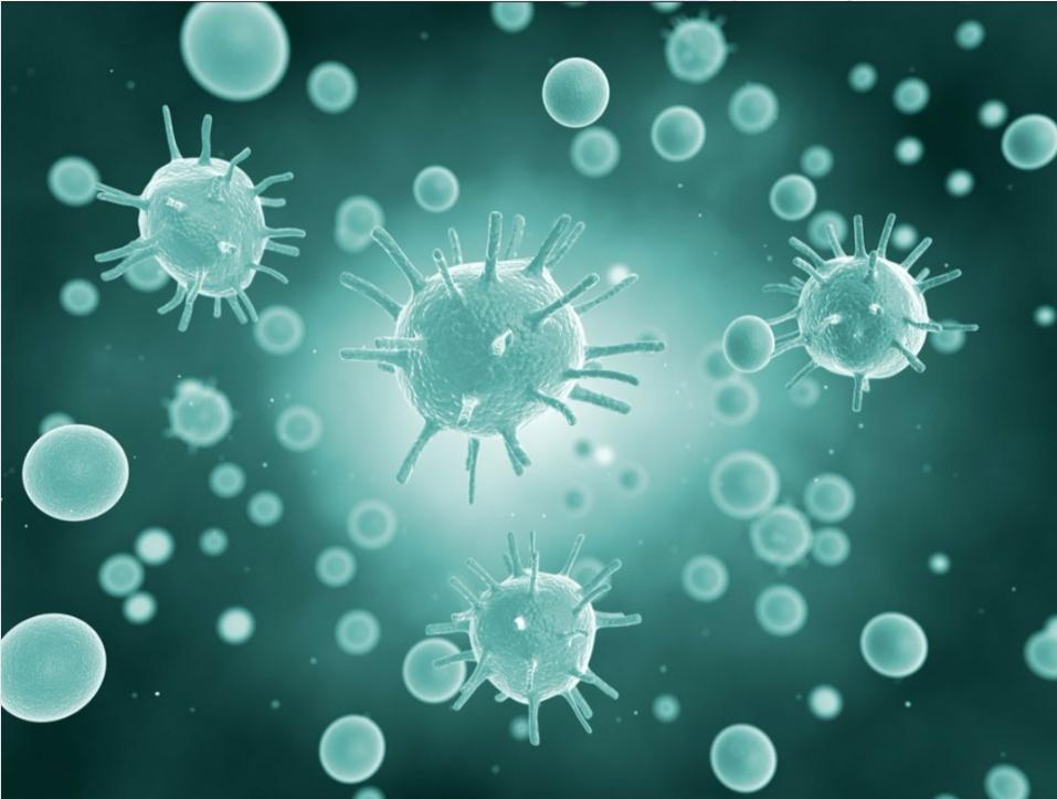 16s测序与宏基因组原理解析,16srdna测序技术