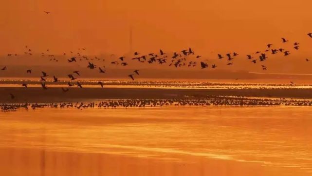 2022年春节放假时间出炉!这份旅行攻略请查收