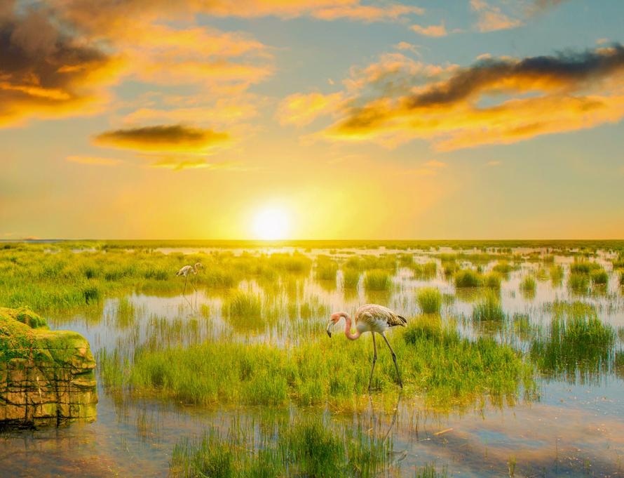 恒大境外债务重组方案原文,恒大境外债务重组最新消息