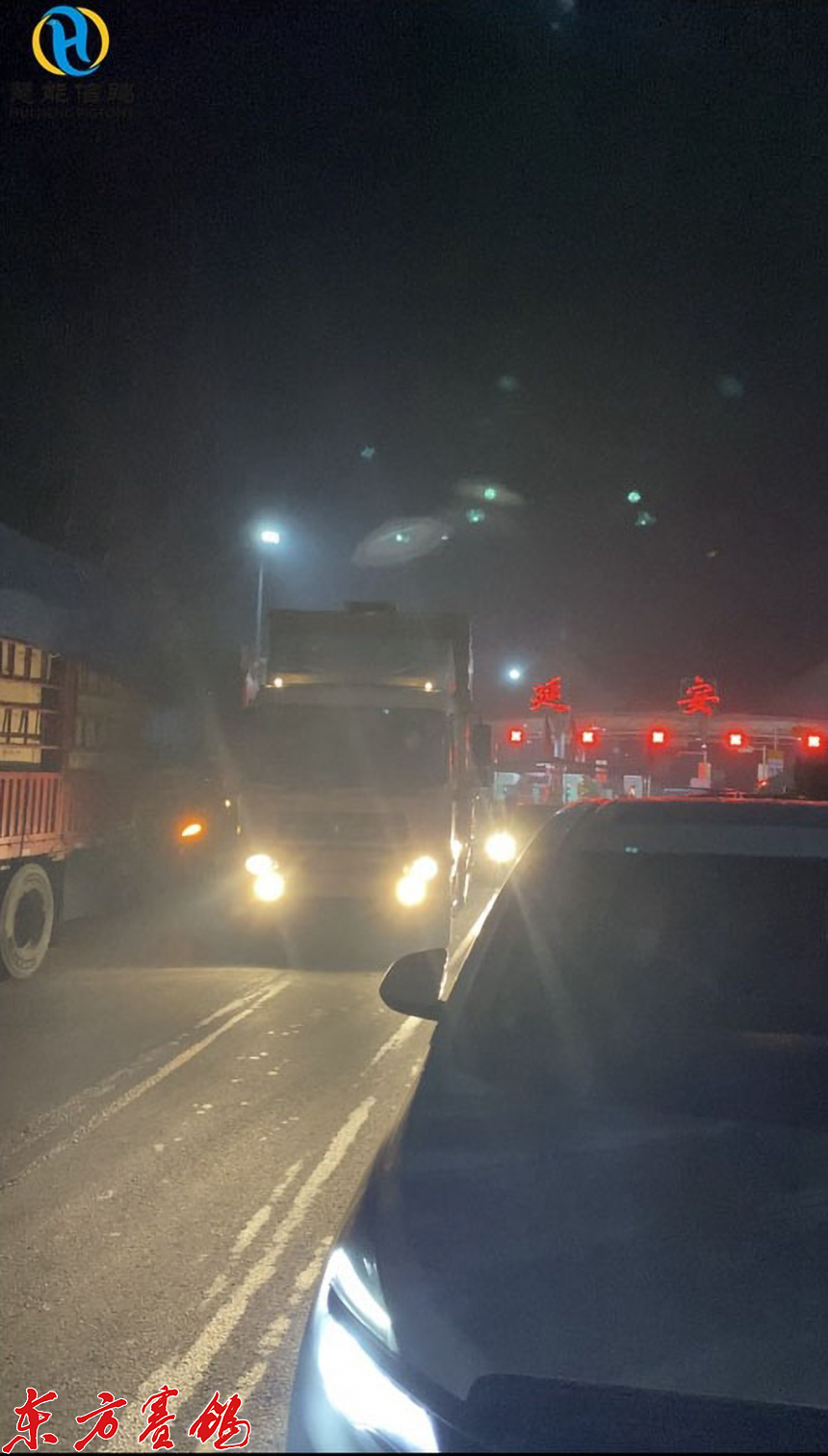 21年惠能秋棚决赛获奖鸽照片,慧能信鸽秋棚直播