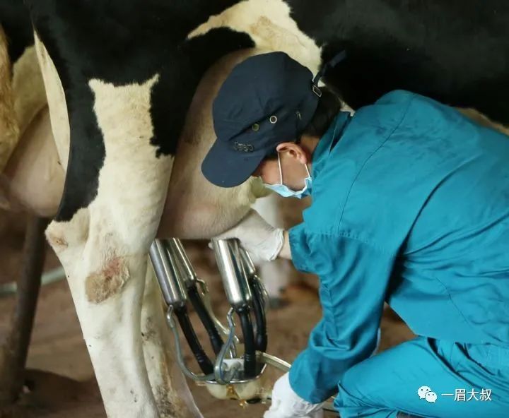 牛奶可乐经济学值得读吗,牛奶经济学原理