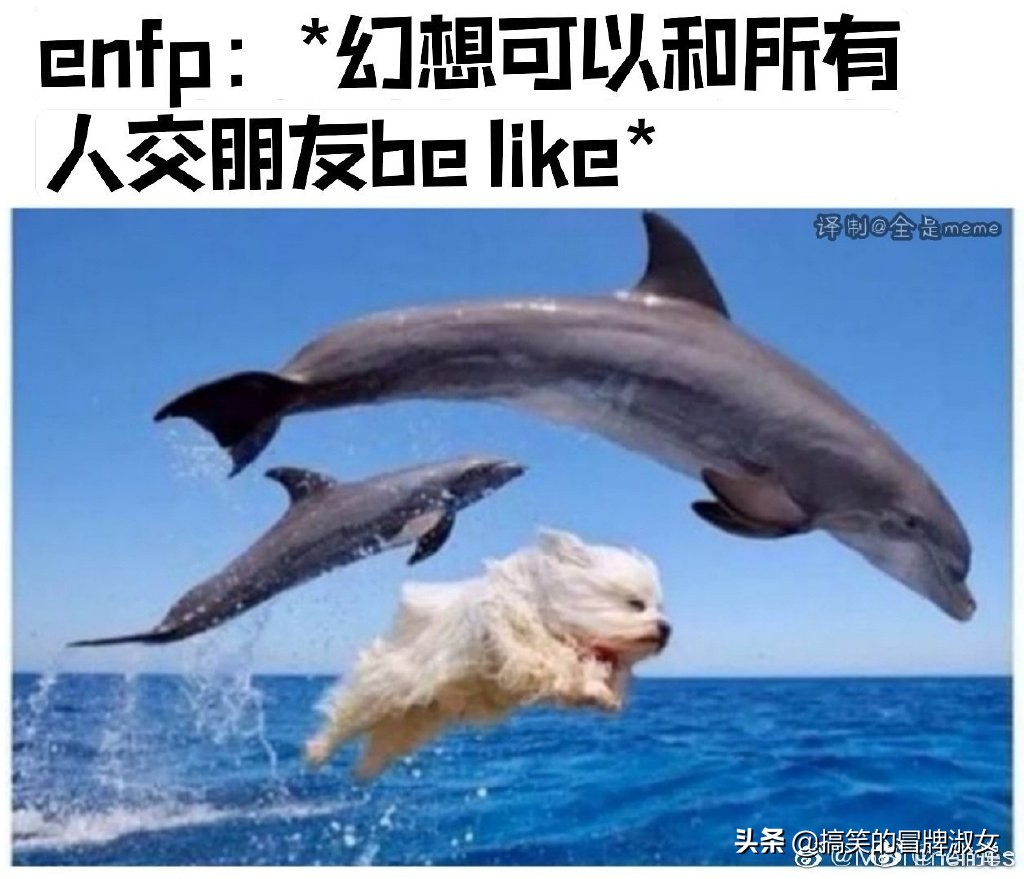 现在交朋友都得先报四个字母的暗号了？我是infp，你是啥？