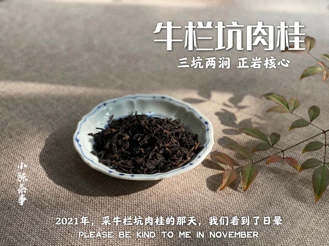 茶馆里的茶有哪些,茶圈公认比较好喝的茶有哪些