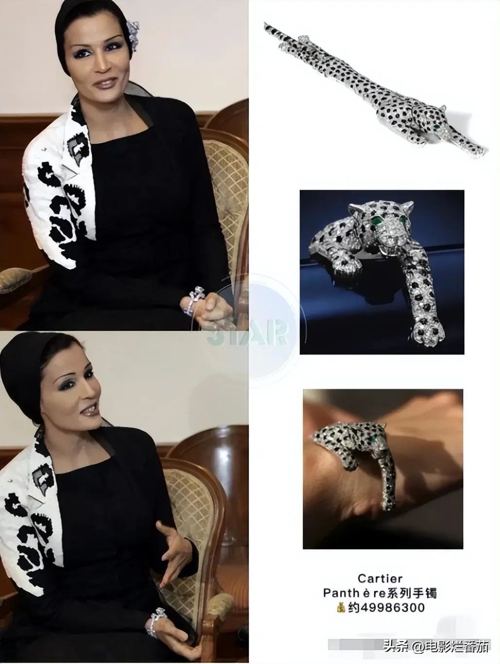 卡塔尔王太后配饰价格,卡塔尔王太后佩戴价值200万的胸针