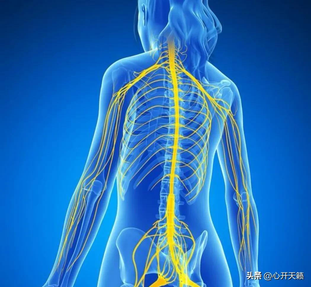 八段锦功法特点连绵不断,八段锦向后瞧