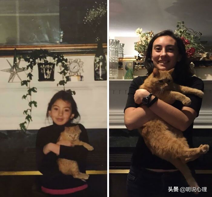 猫咪和鼠鼠的故事,猫和鼠的友谊真实故事