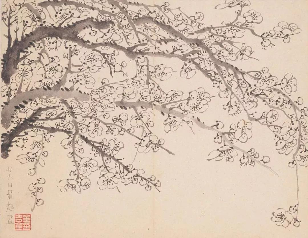 清代九大名家花鸟册页欣赏,清朝九大名家花鸟山水图