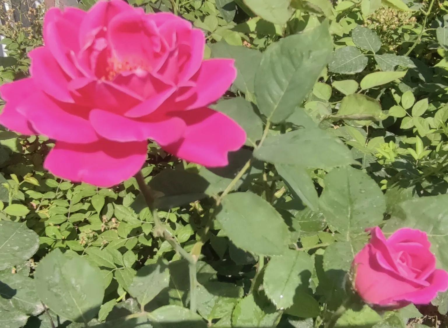 贵州足球在哪里比赛,足球开球贵州人