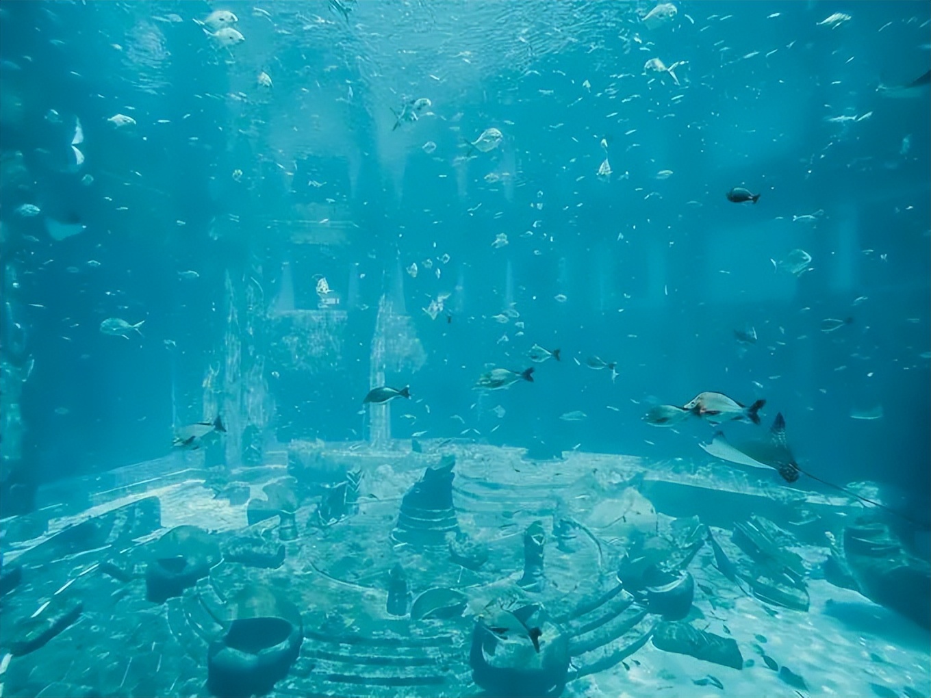 三亚亚特兰蒂斯酒店疫情,三亚亚特兰蒂斯疫情