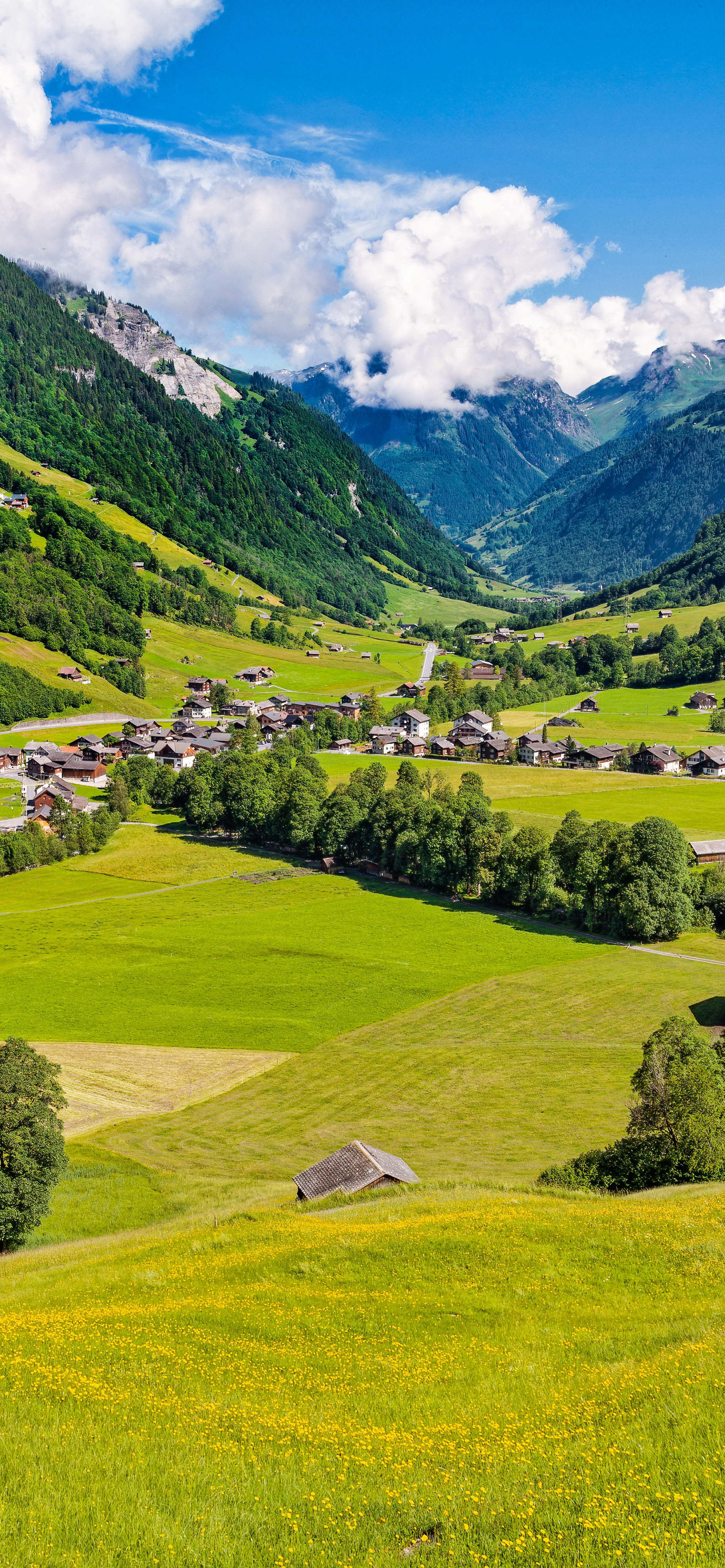 早安竖屏手机壁纸,早安图片最新手机壁纸