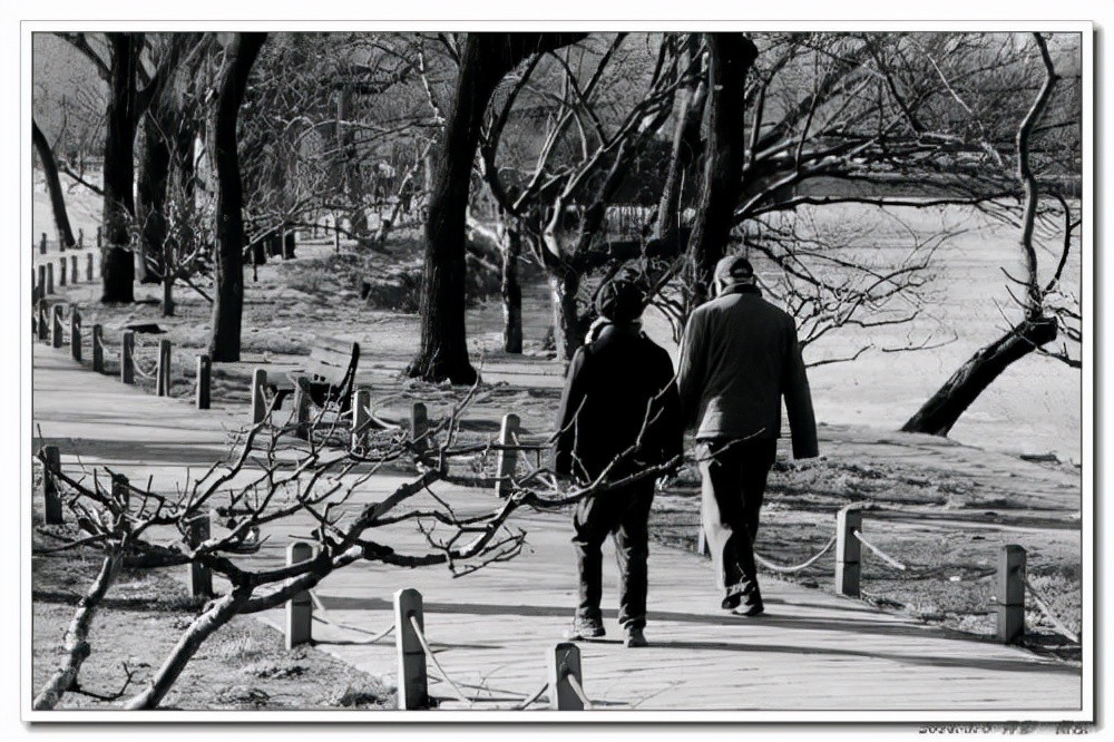 从许三观卖血记看一个父亲的成长,5分钟读完许三观卖血记