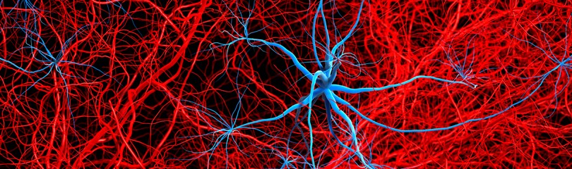 人类罕见人体特征,人类最罕见的身体特征