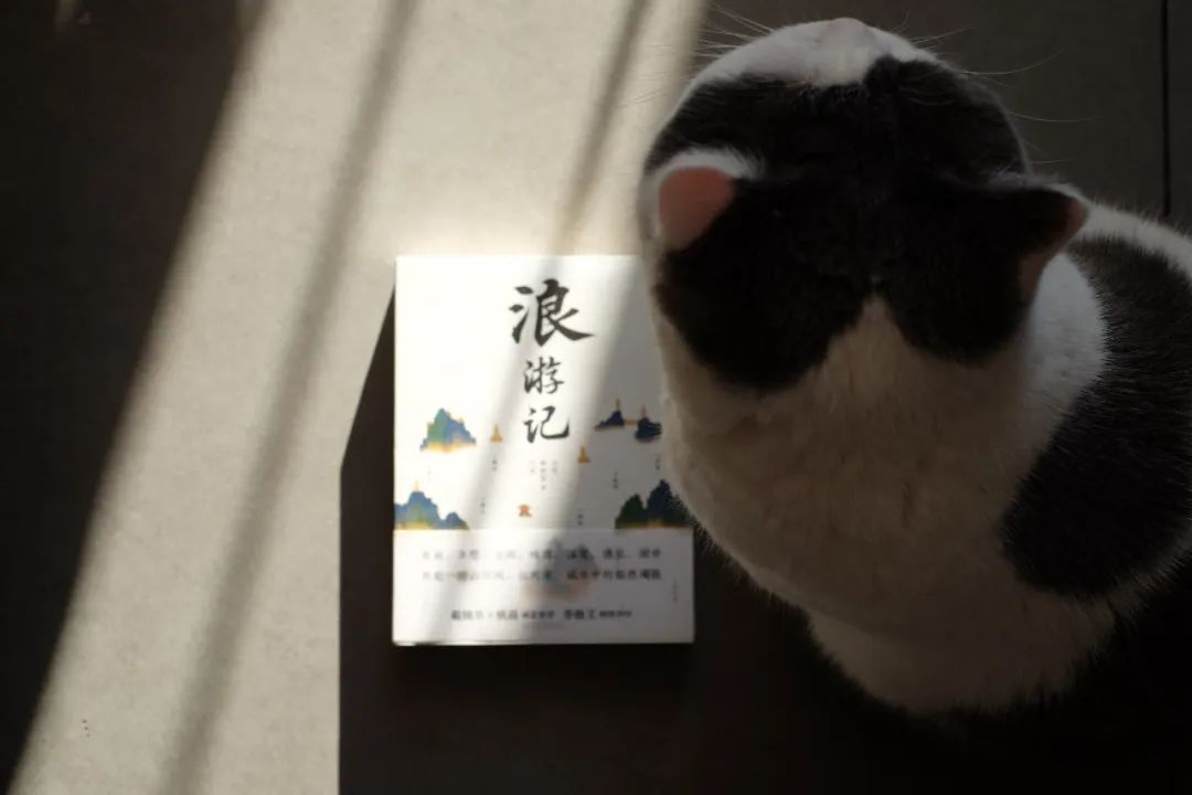 今年最值得读的十本书,今年最值得看的50本书