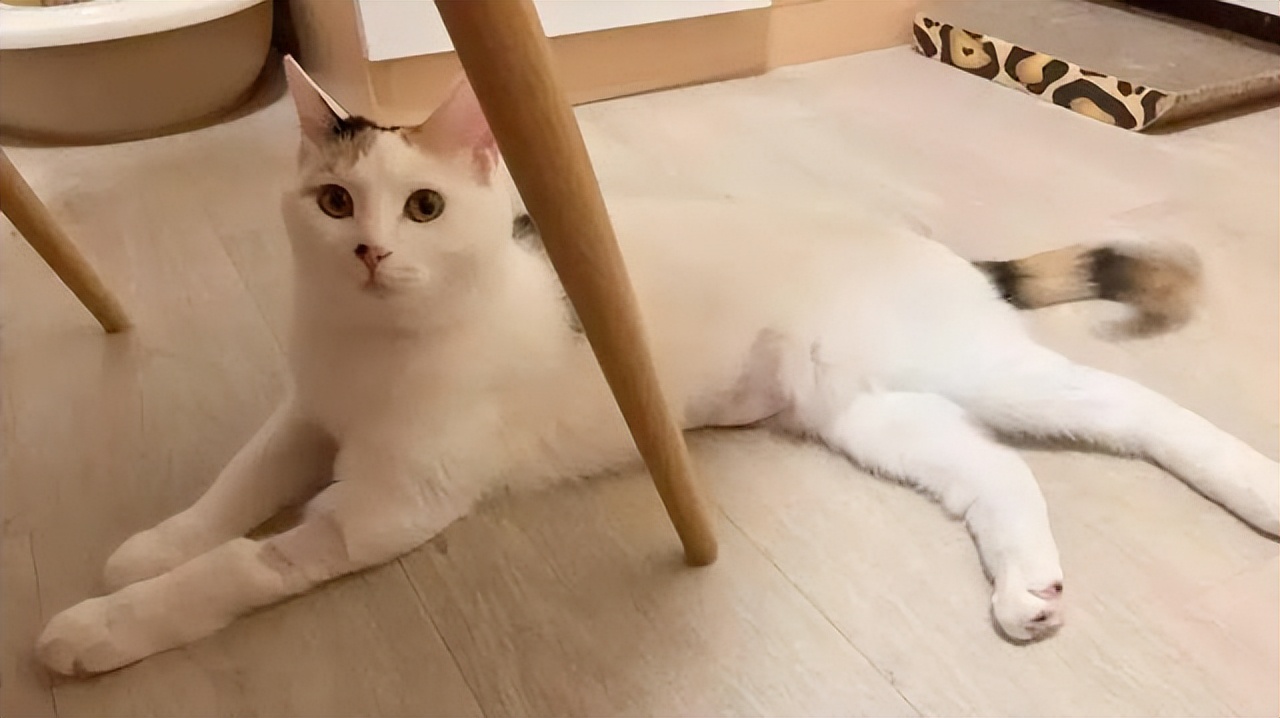 知乎高赞普通人,知乎高赞普通人的一生