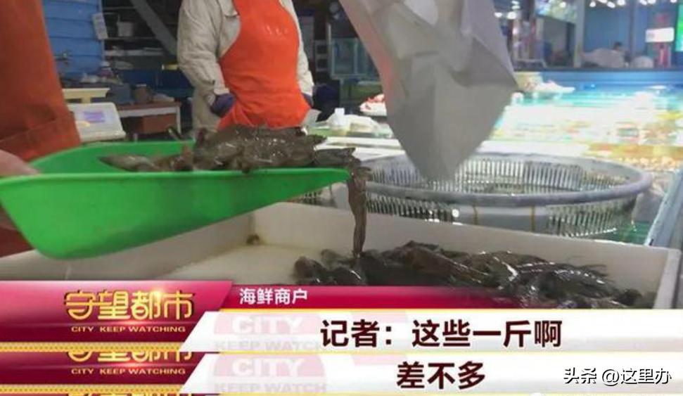 守望都市新闻线索,守望都市采访报道