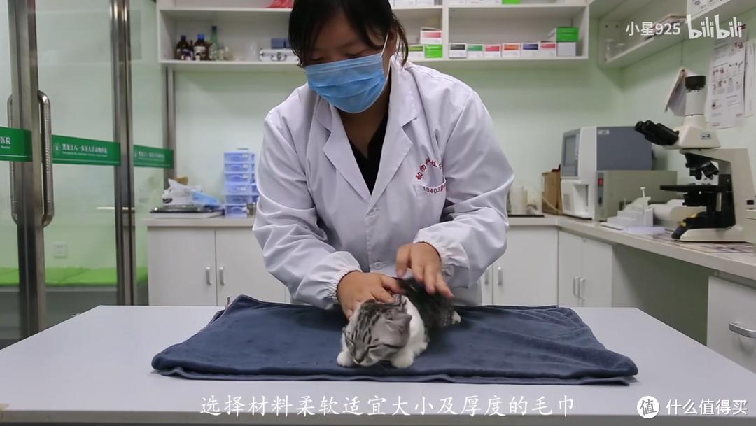 猫咪病了怎么喂药,薛定谔的猫咪教程