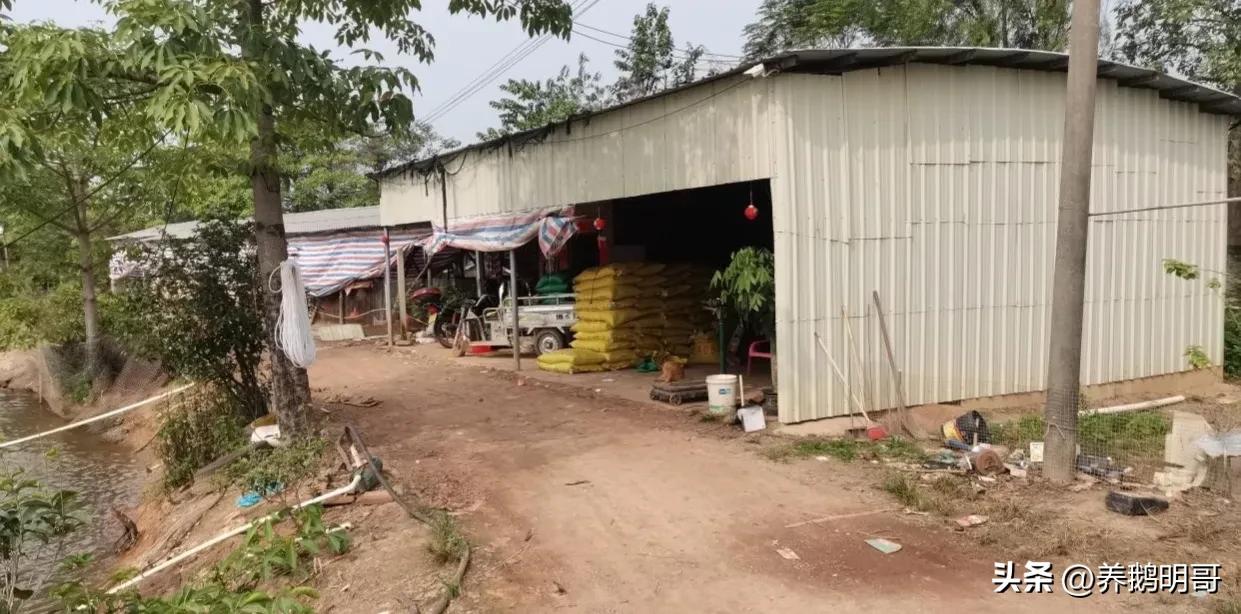 赤壁50亩鱼塘承包费一年要多少钱,25亩鱼塘承包要多少租金