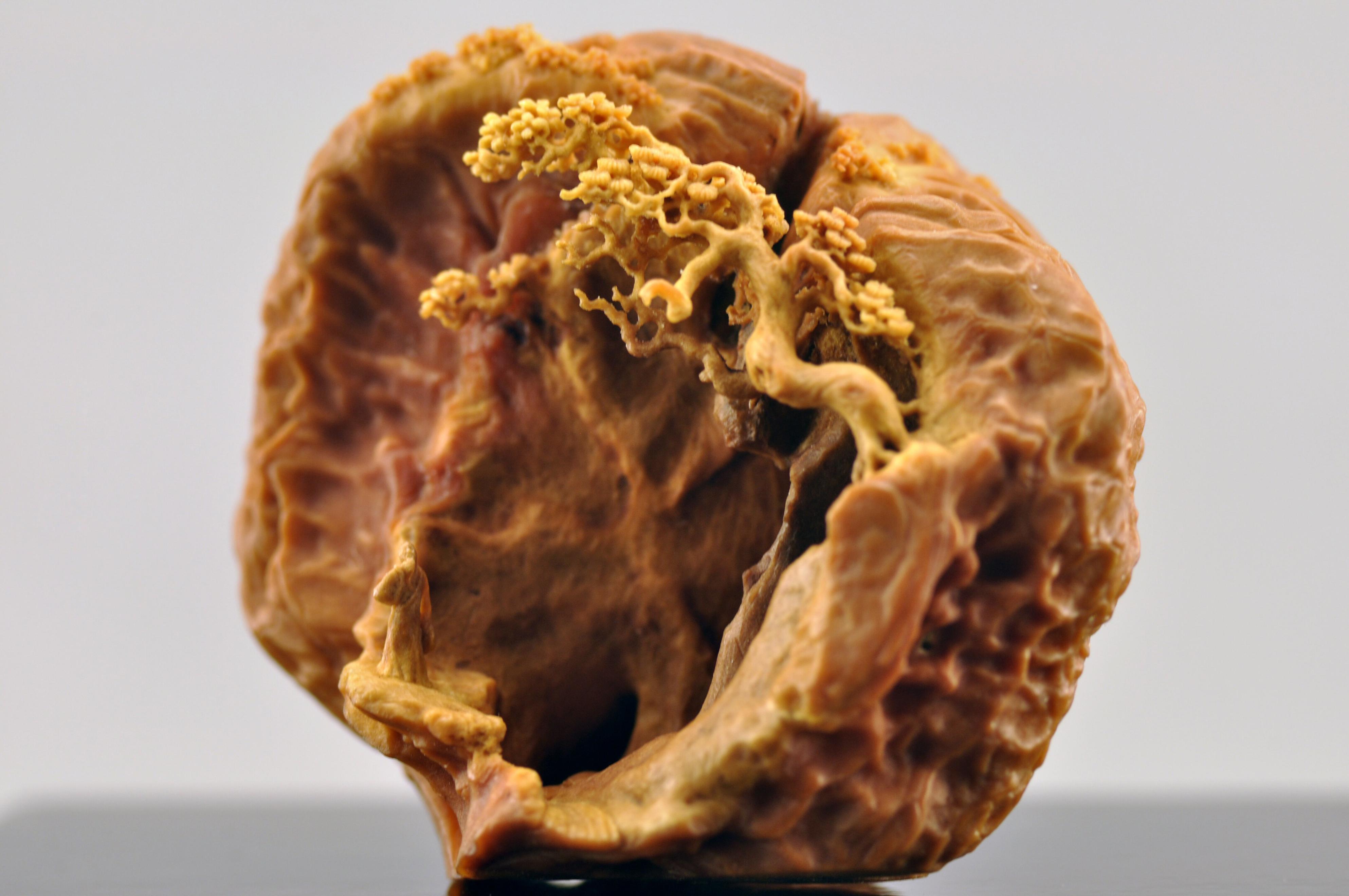 橄榄核雕方寸之间,舟山核雕方寸之间