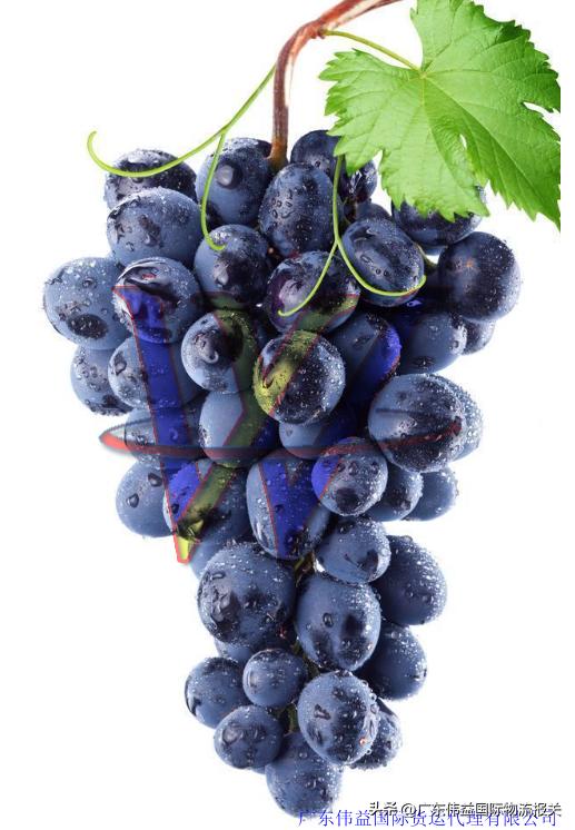 广州进口酒类进口报关流程,广州进口苹果报关申报流程