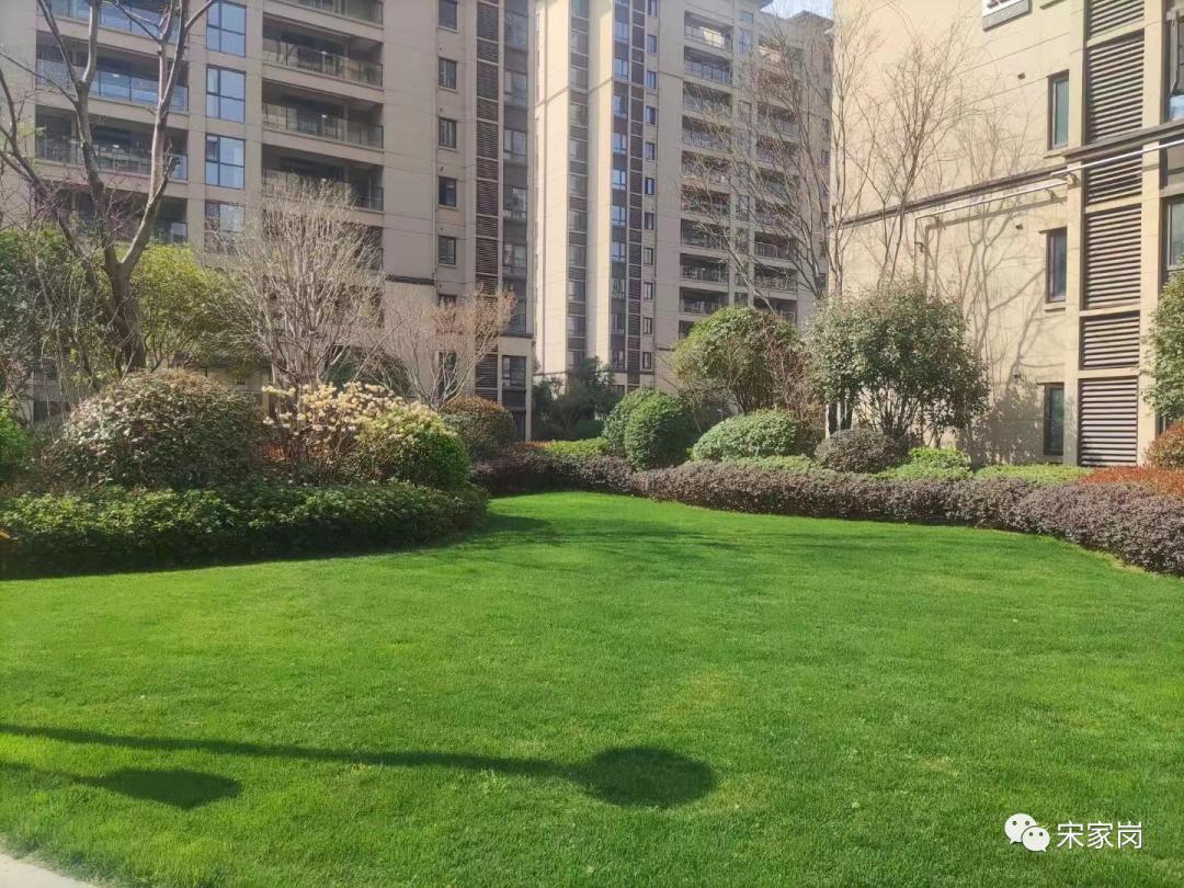 武汉盘龙城种草专业户—新力帝泊湾小区,小区品质离不开细节处理