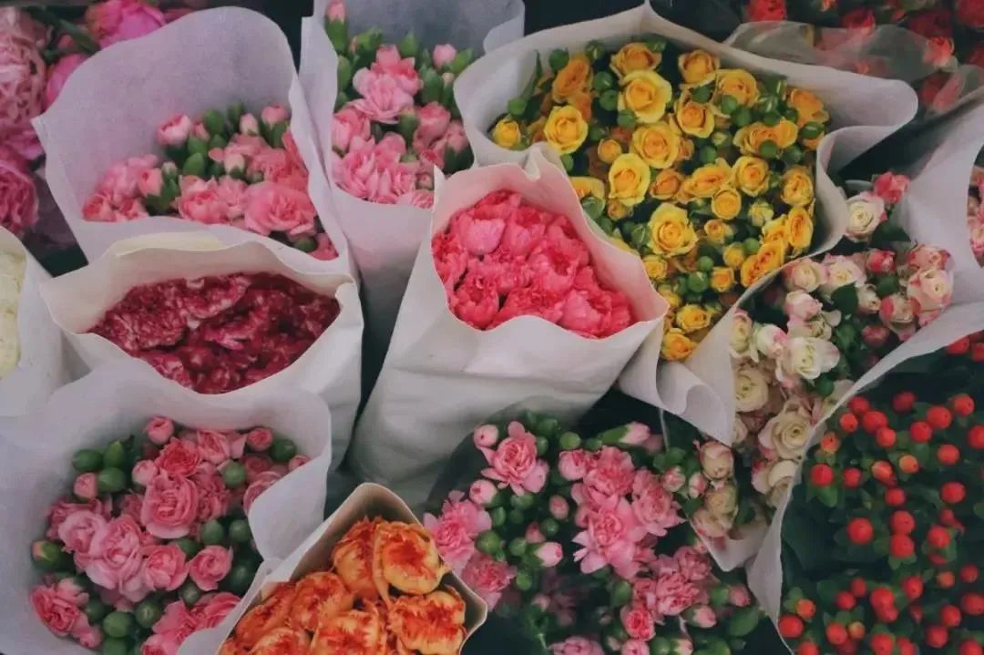 把春天带回家原唱,把云南的春天带回家