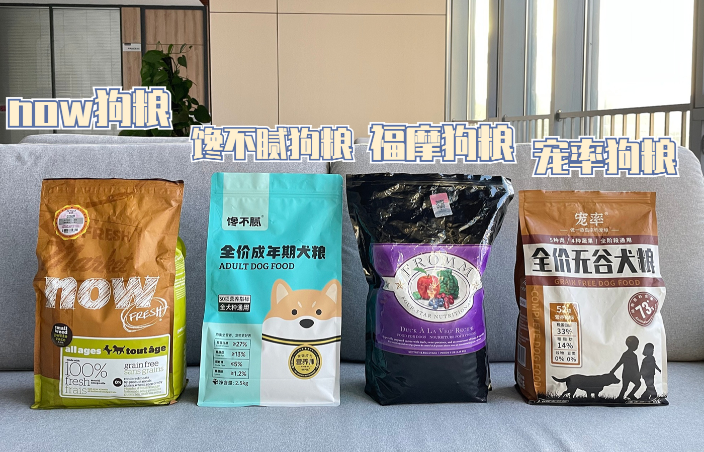 狗狗洗澡注意事项和禁忌,养狗讲究多8大禁忌绝不能犯