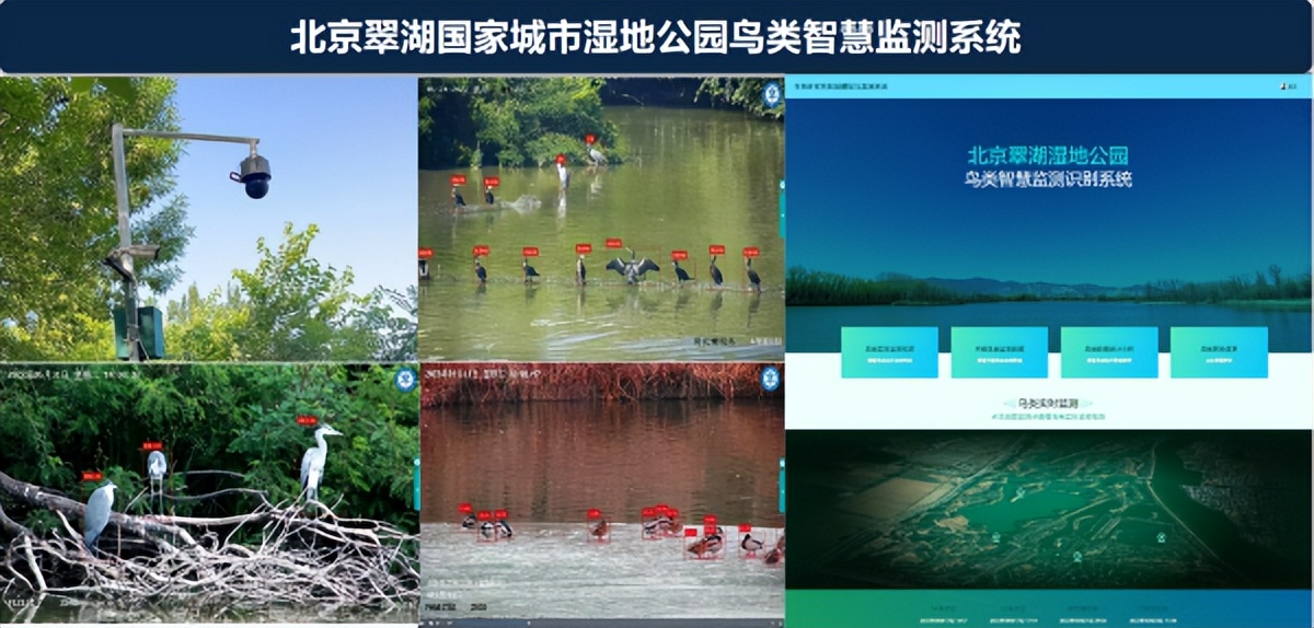 杭州钓鱼男子救人,广东男子在河边救下一只怪鸟