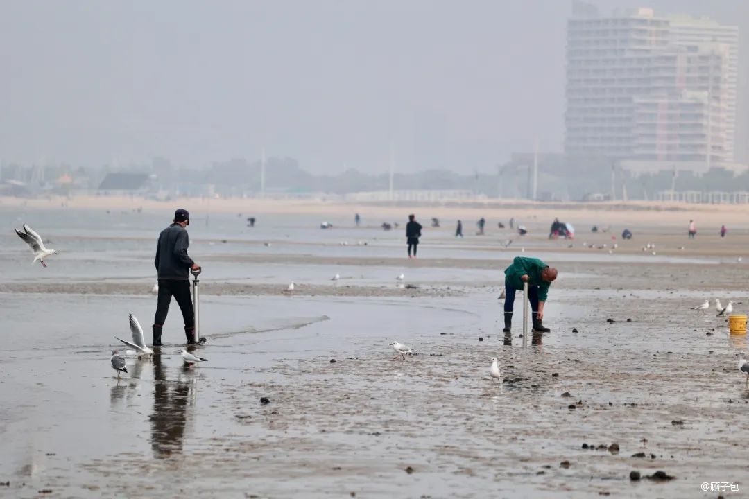 30万海景房,两百块钱的海景房推荐