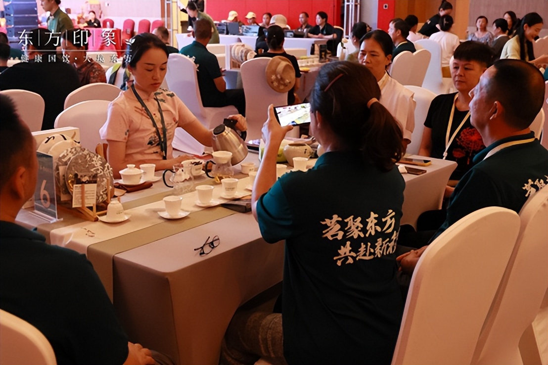 茶山体验之旅,茶山体验活动