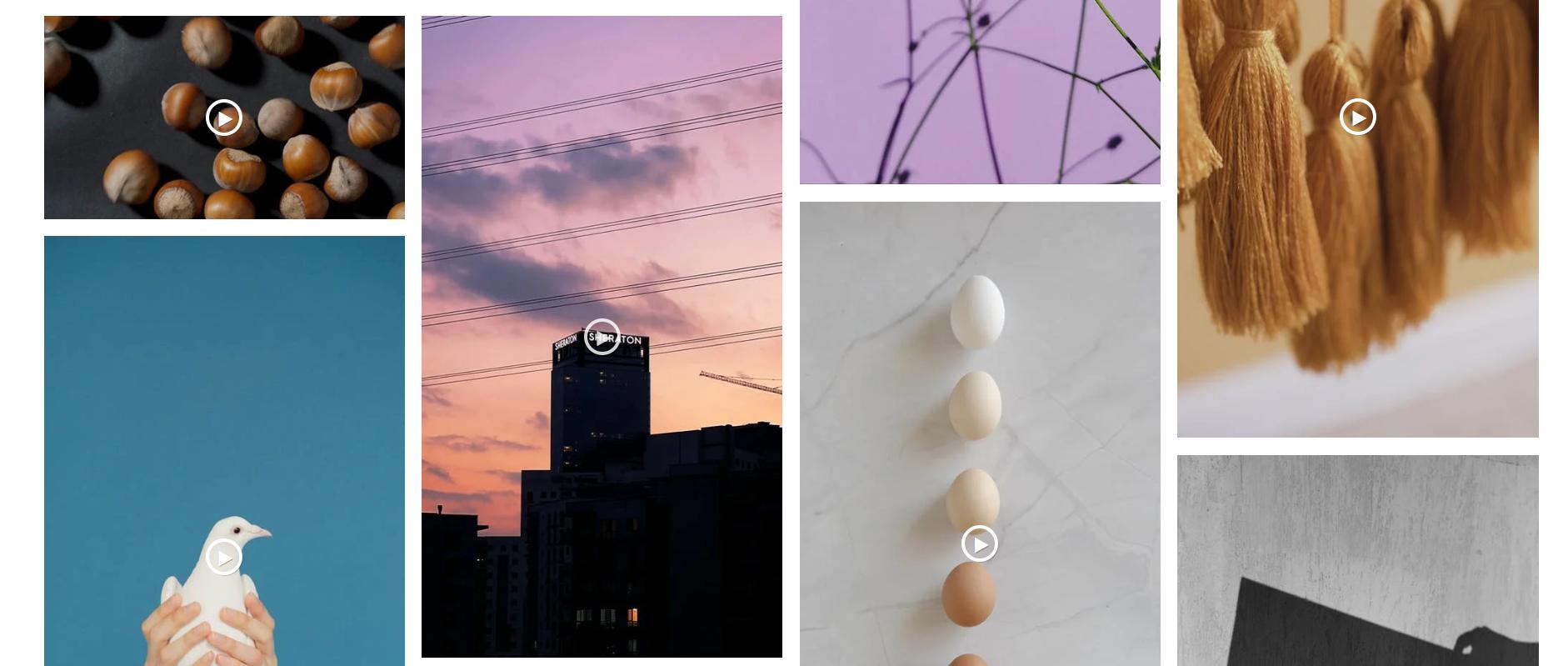 来了来了！你们要的免费视频网站合集来了，整理不易，记得收藏哈