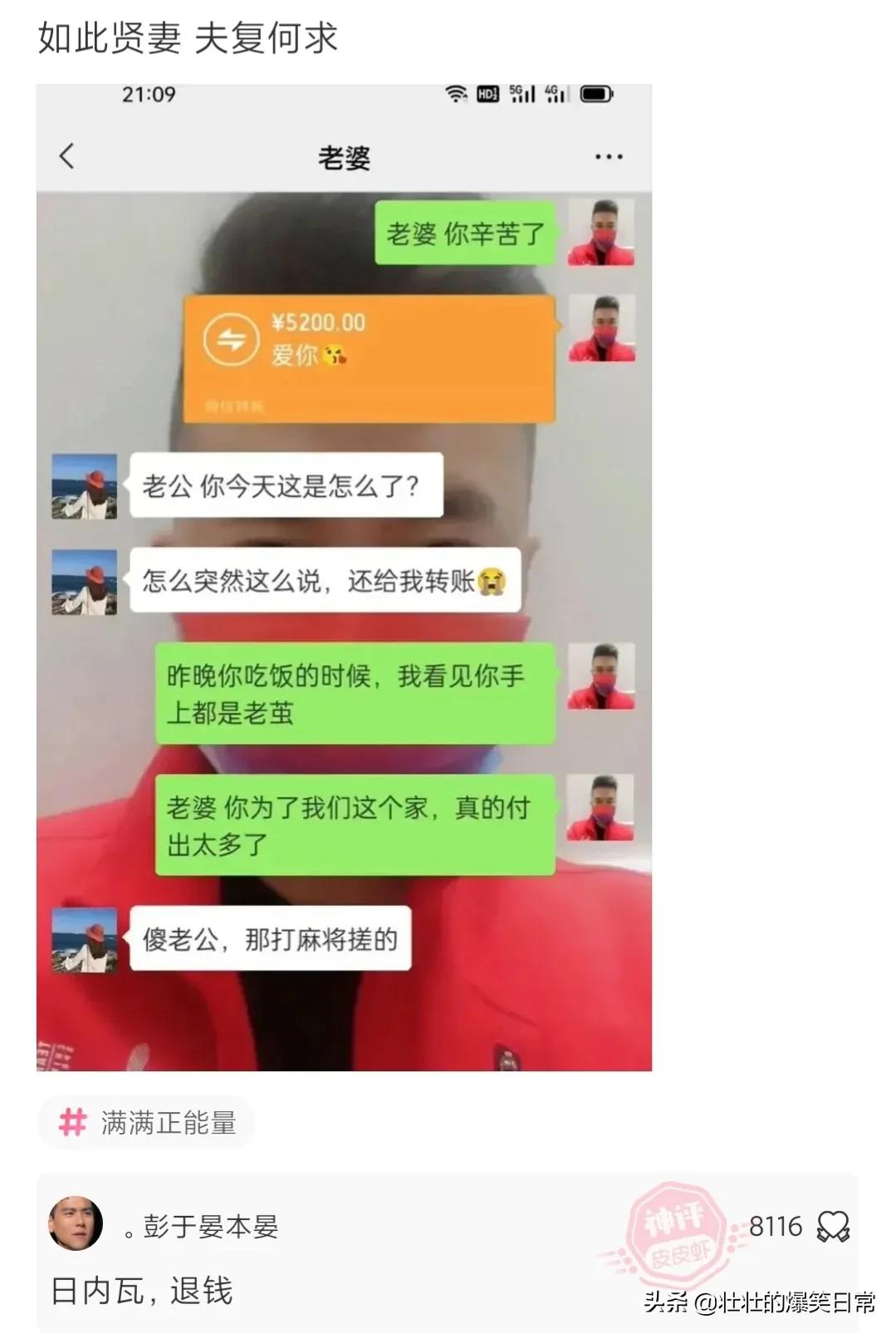 狮子魔性的笑声笑死人,狮子搞笑片