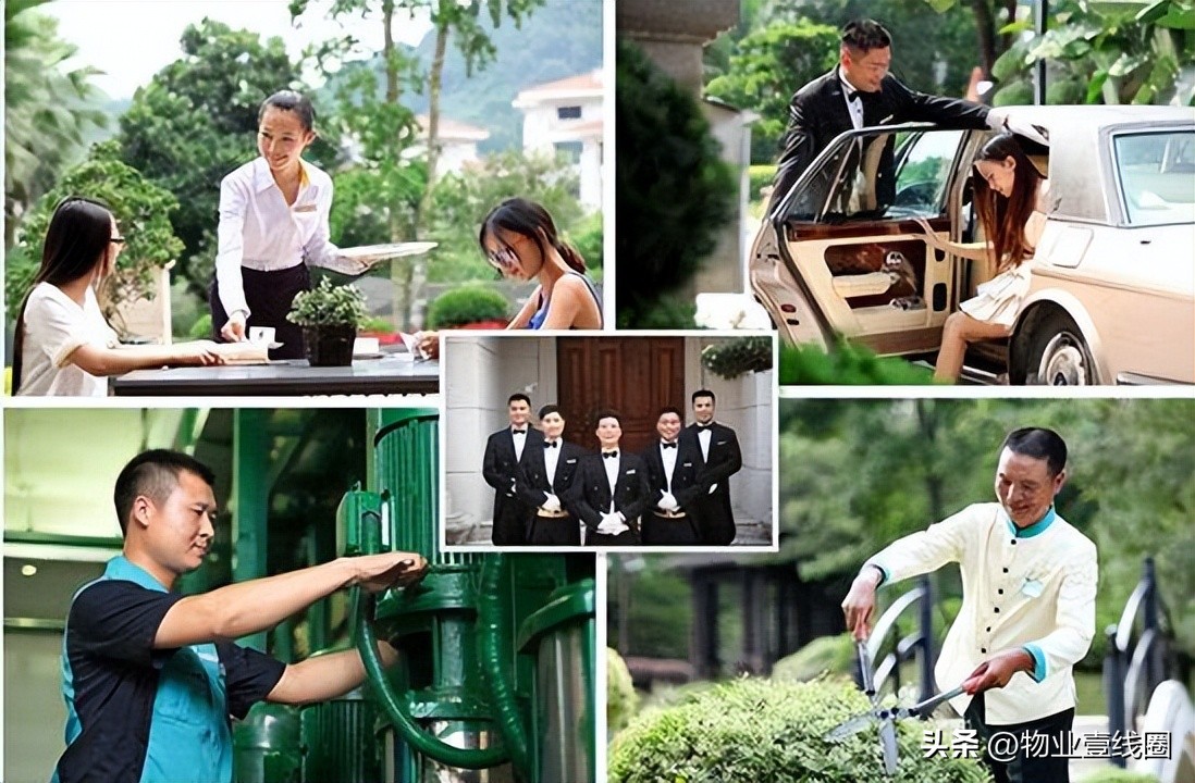 物业管理投标指引及技巧ppt,物业管理招投标策略与技巧的心得