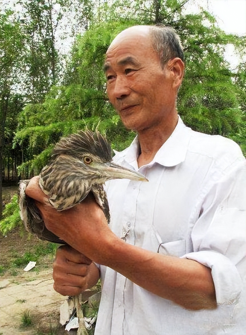 河南男子捡到只怪鸟，想要放生，专家看完后：价值600万