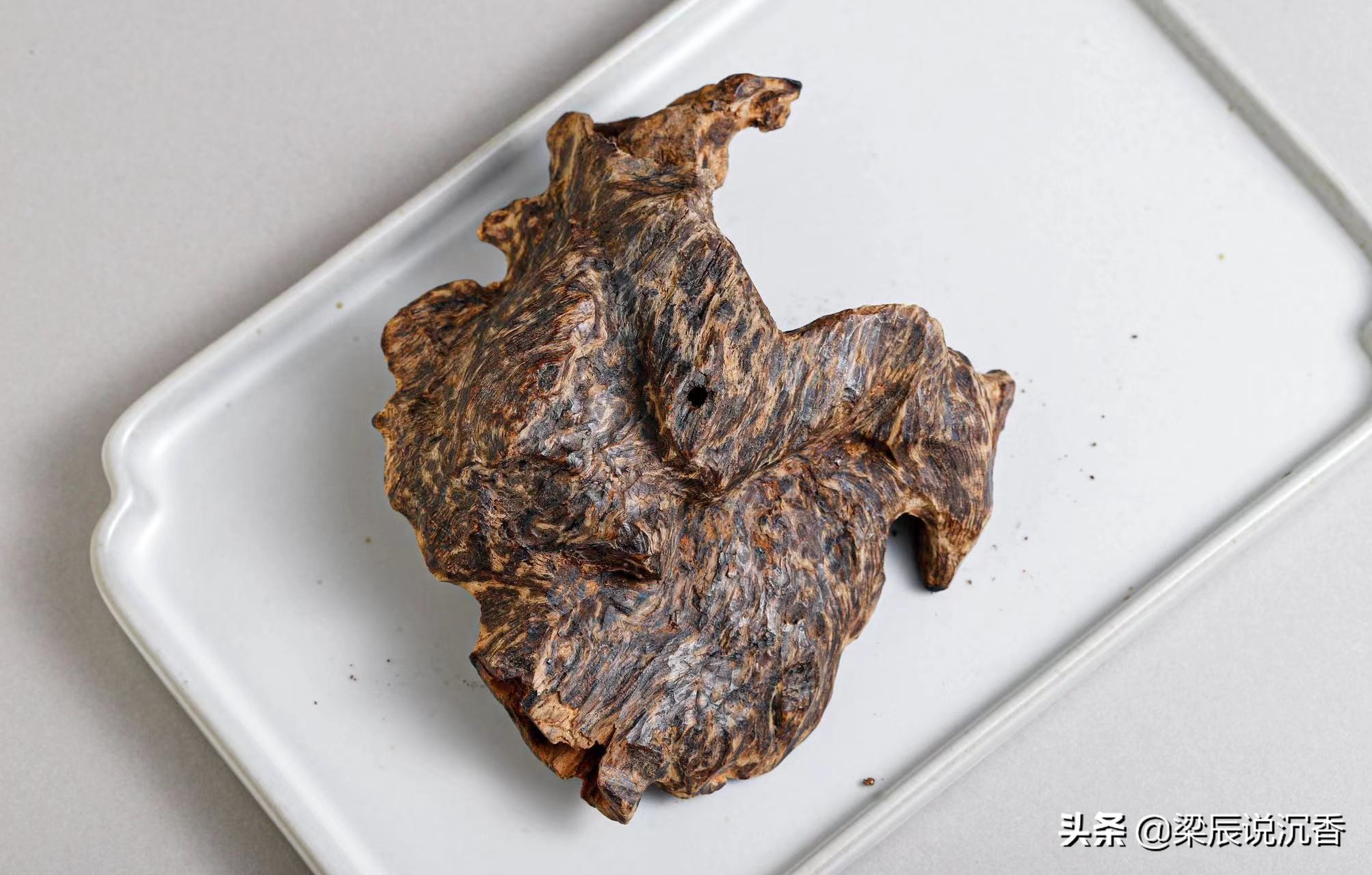 越南沉香是沉香吗,越南芽庄沉香与海南沉香的区别