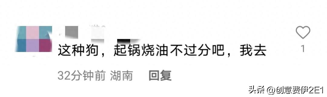 女生夜跑被恶犬咬伤后续,女子夜跑被恶犬咬伤在哪个部位