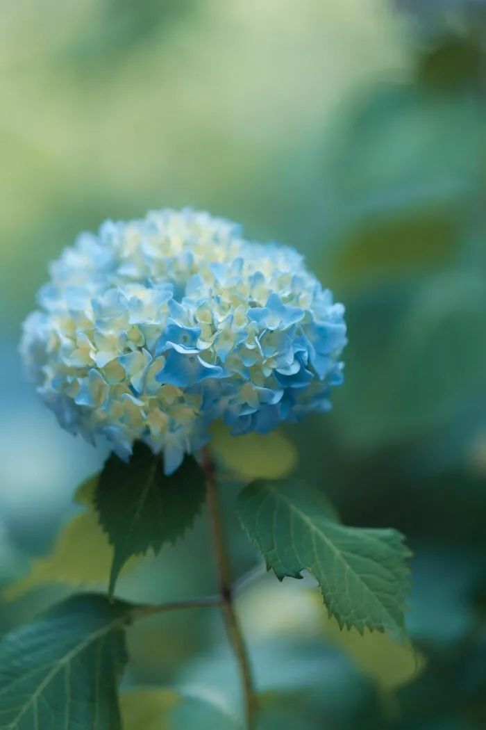 梅州出发4-5天旅游推荐,从广州出发自由行梅州4天攻略