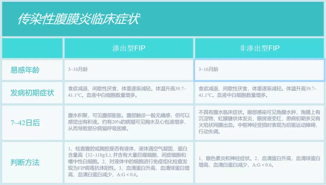 新冠特效药能治猫传腹吗,新冠药猫能吃吗