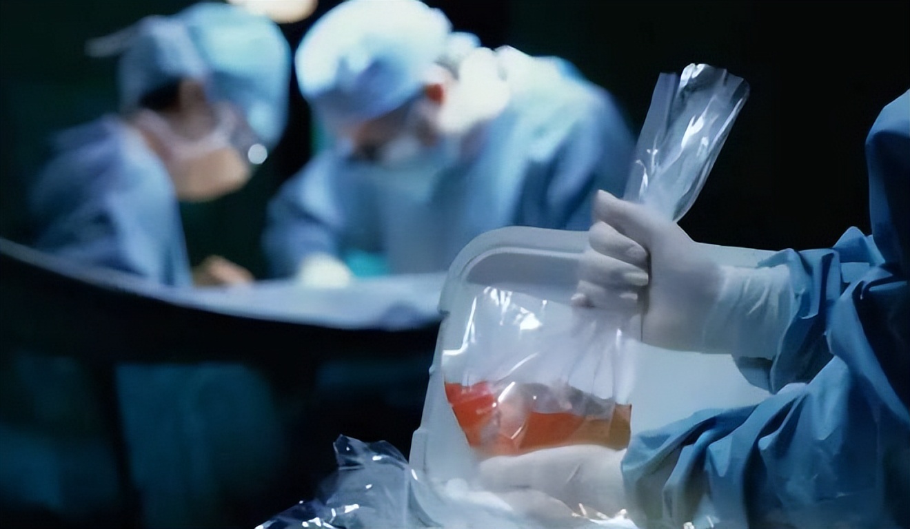 东南亚远比你想象中更可怕：电击、水牢、吃屎，挖器官不打麻药