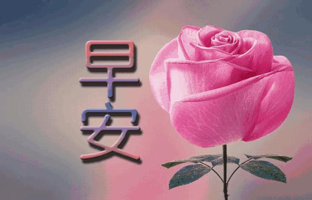 微信最美早晨问候祝福图片带字,早上好最漂亮微信表情祝福图片