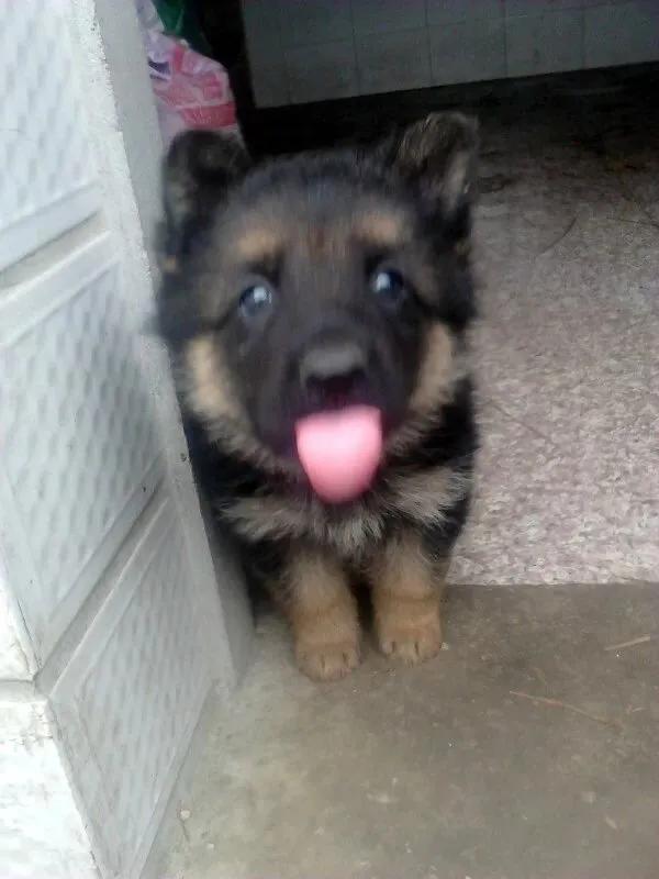 世上只有妈妈好爸爸也不错,世上只有妈妈好爸爸不好吗