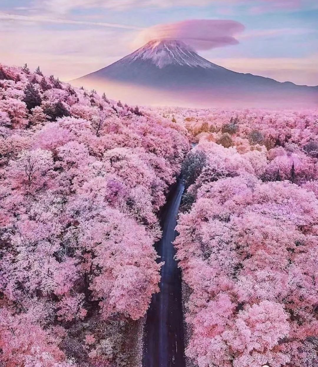 学习优秀摄影作品,摄影教学作品欣赏