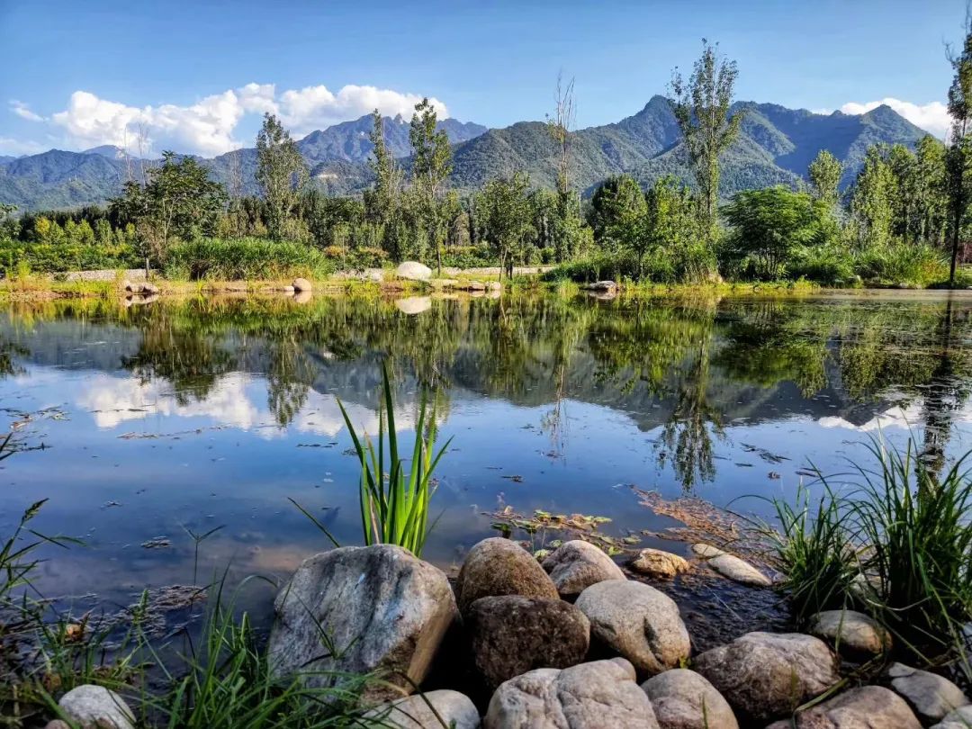 长安周边赏花,附近春季赏花攻略