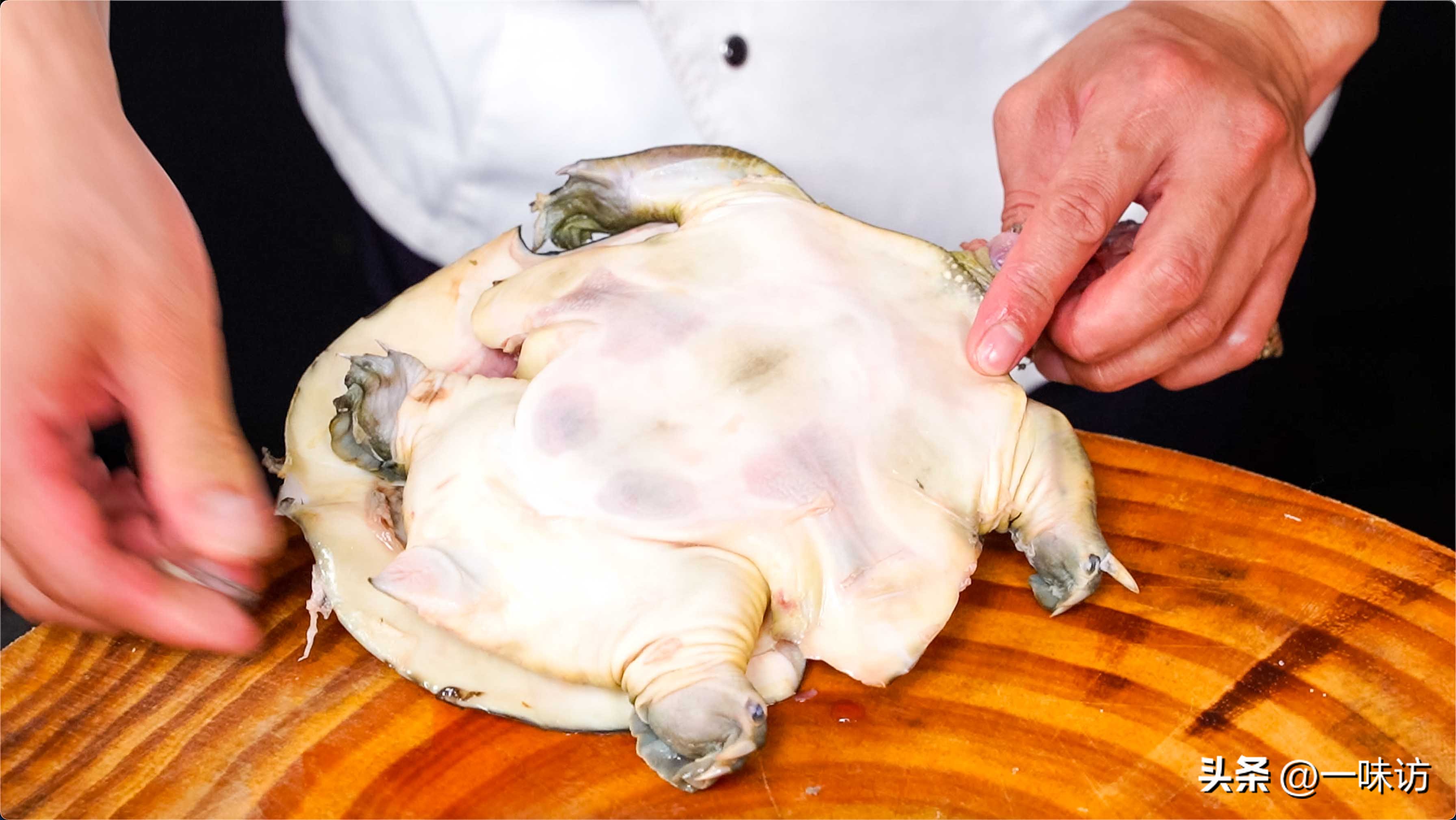 地摊麻辣甲鱼最正宗做法,甲鱼餐饮项目做法