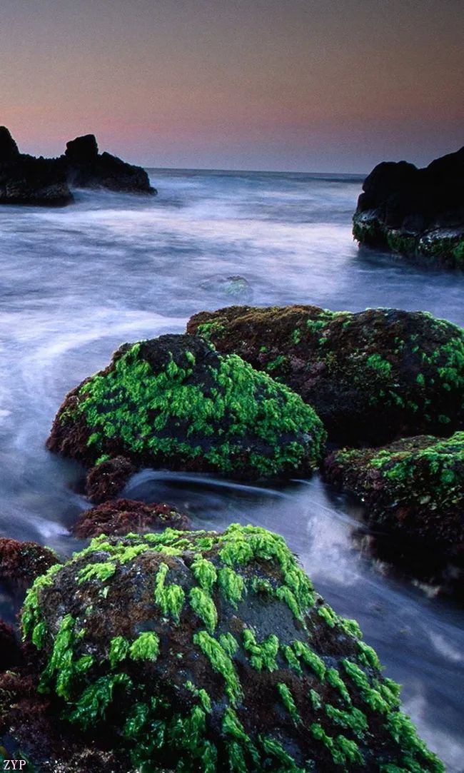 太美了100张人间美照,太美了最美中国红