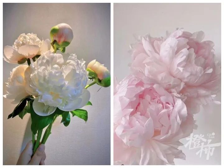 杭州姑娘在菏泽连住5天，只为抢到……