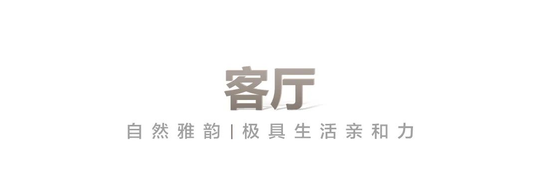 大王椰的柜门高级灰好看吗,大王椰灰色格调