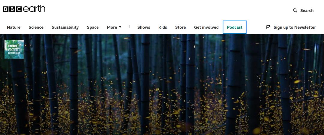 托福雅思线上学习资料,托福雅思在线教程