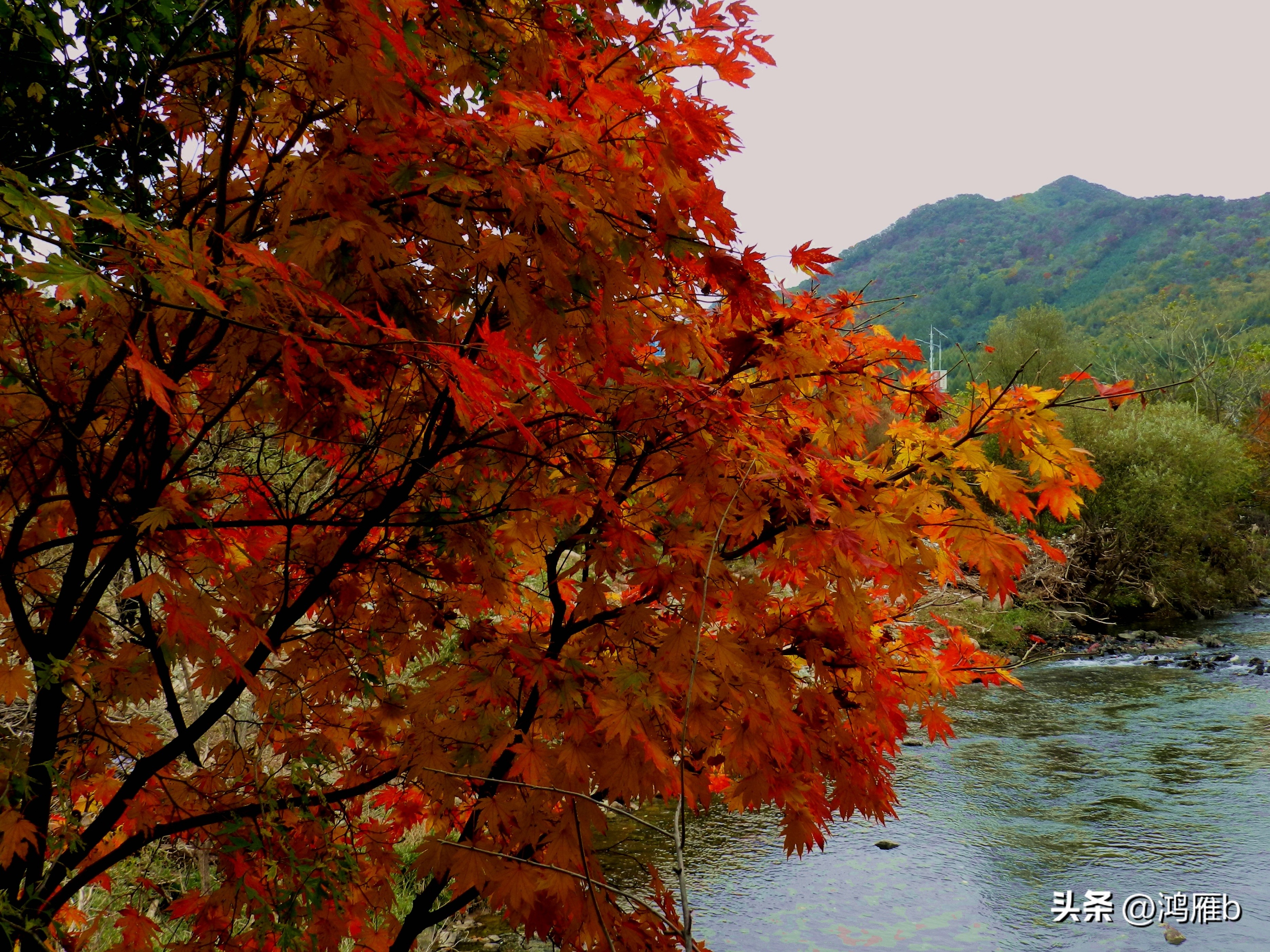 本溪温泉汤沟门票价格,本溪花溪沐枫雪温泉小镇