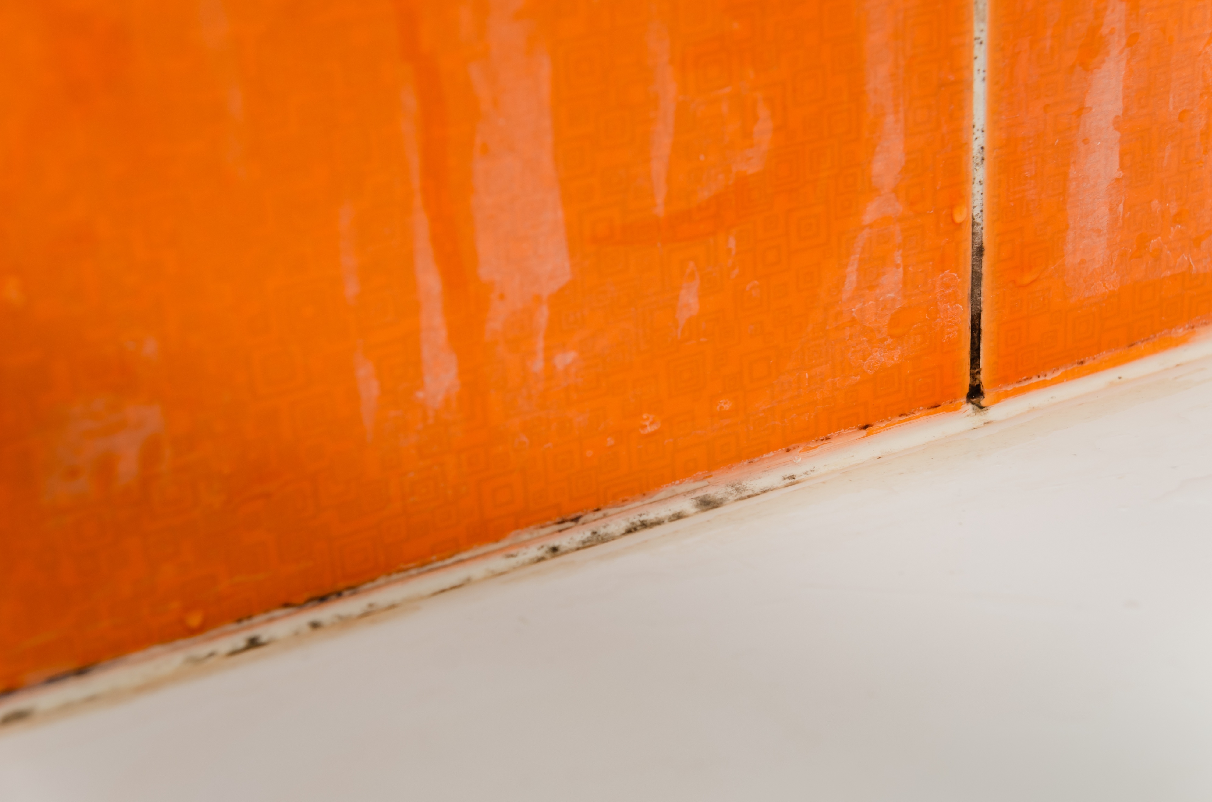 卫生间瓷砖缝发黑发霉怎么处理,卫生间瓷砖墙角霉斑怎样去除